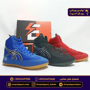 کفش کشتی اسیکس